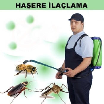 Kiğı Böcek İlaçlama